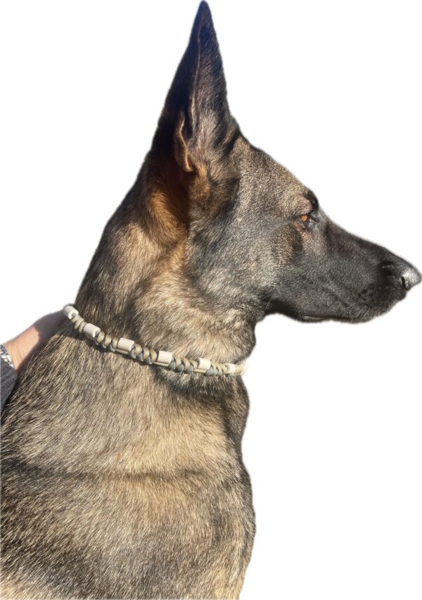 Collier Hybride en Biothane et Paracorde – Résistance, Style et Personnalisation Associez la robustesse du Biothane à la souplesse de la paracorde avec ce collier hybride, conçu pour offrir durabilité, confort et esthétique unique. Idéal pour les chiens actifs, il allie solidité et élégance avec une personnalisation avancée. ✨ Pourquoi l’adopter ? ✔ Résistant et durable – Matériaux de haute qualité pour une longévité optimale. ✔ Style unique – Large choix de couleurs pour un look personnalisé. ✔ Attache pratique – Anneau central pour une fixation rapide et sécurisée. ✔ Personnalisation avancée – Gravure du nom et du numéro de téléphone sur plaque Biothane. 🎯 Associez-le à une laisse assortie pour un ensemble harmonieux et élégant ! 🚀 Commandez dès maintenant et créez un collier unique pour votre compagnon fidèle !