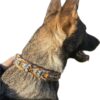 Collier pour chien en paracorde tressage Valentine avec perles Elodog