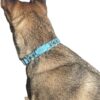 collier tressé en paracorde sur mesure et personnalisé Elodog