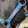 Personnalisation licol plat en biothane Elodog
