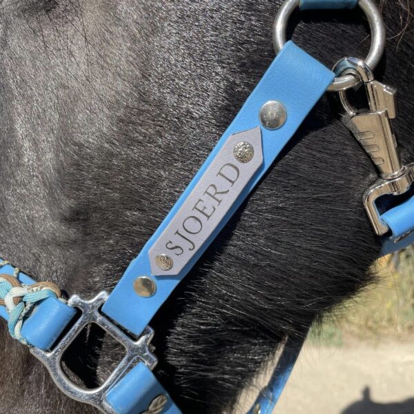 Personnalisation licol plat en biothane Elodog