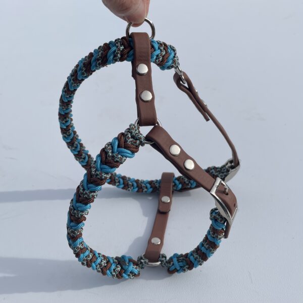 Copie de IMG_7880 Harnais paracorde tressage Snake Belly Minis chiens Elodog Option ouverture confort