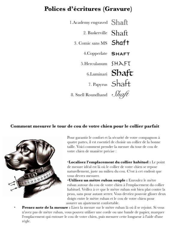 Guide de mesure tour de cou chien pour collier sur mesure Elodog