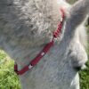 Collier anti tiques naturel chevaux tressé en paracorde avec perles EM Elodog