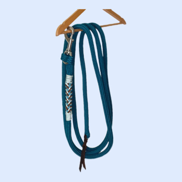 Longe éthologique "pro" mousqueton acier Elodog