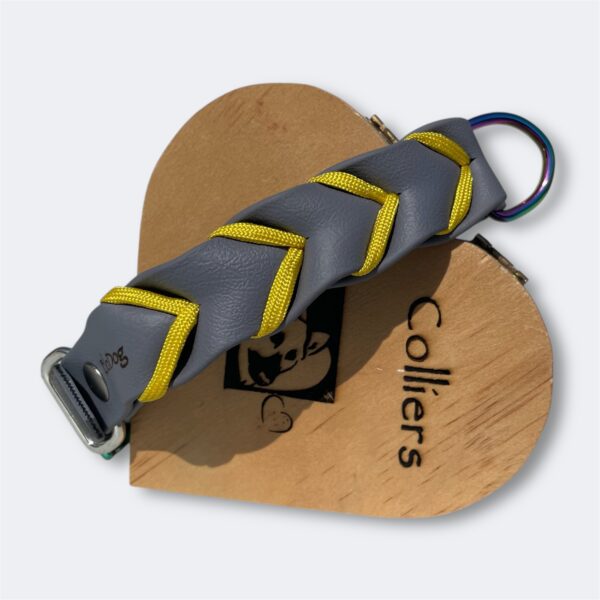 Collier pour chien en Biothane tressé avec paracorde Elodog