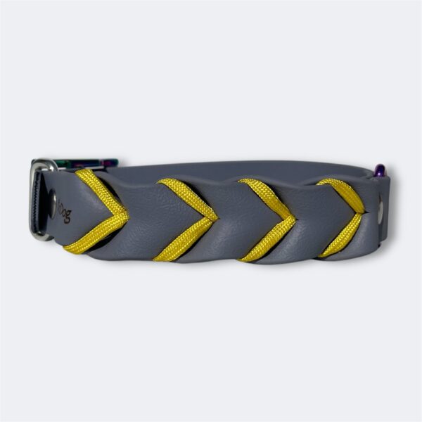 Collier pour chien en Biothane tressé avec paracorde Elodog
