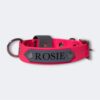 Collier pour chien en Biothane personnalisable avec Airtag intégré Elodog
