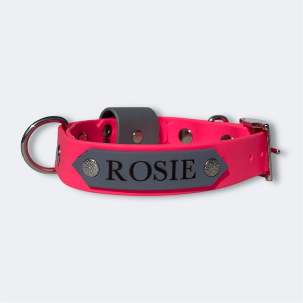 Collier pour chien en Biothane personnalisable avec Airtag intégré Elodog