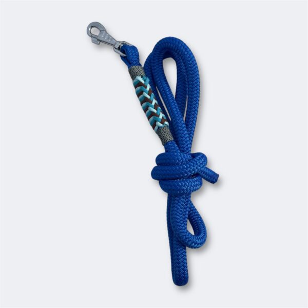 Longe de licol personnalisée Elodog