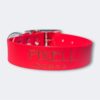 Collier pour chien en Biothane avec nom gravé Elodog