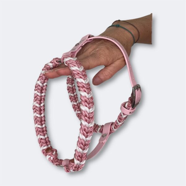 Photoroom_20250311_181417 Harnais mini chien en paracorde tressage Snake Belly Elodog
