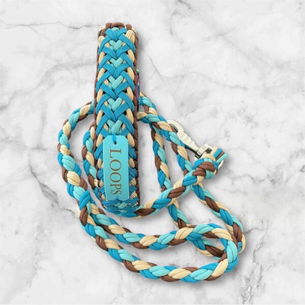 Collier pour chien en paracorde tressage Luna's Fly Trap Elodog