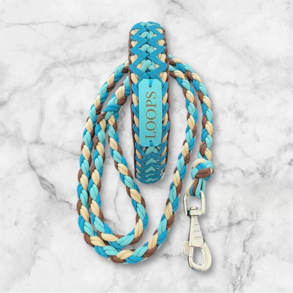 Collier pour chien en paracorde tressage Luna's Fly Trap Elodog
