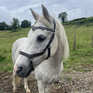 Frontal tressé en paracorde avec noued celtique en forme de coeur modèle Arwen Elodog