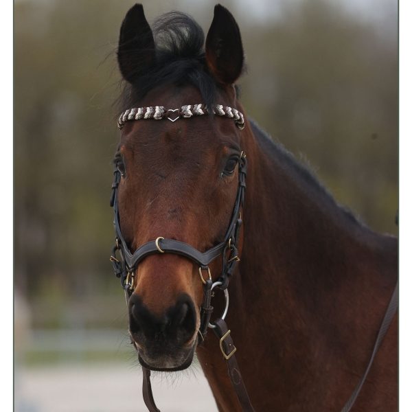 Cheval bai portant fièrement son frontal tressé modèle Arwen confectionne par l'atelier d'Elo