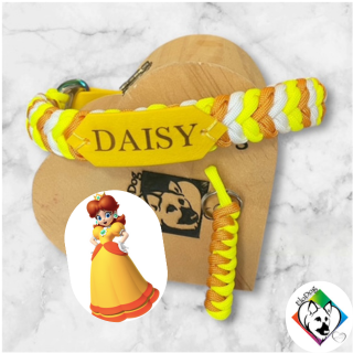 Collier en paracorde tressée pour chien avec une personnalisation Daisy de Mario