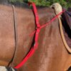 Collier poignée CAELIOR en biothane Elodog