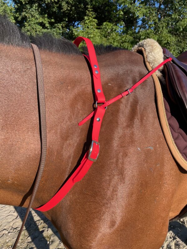 Collier poignée CAELIOR en biothane Elodog