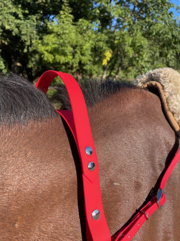 Collier poignée CAELIOR en biothane Elodog