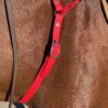 Collier poignée CAELIOR en biothane Elodog